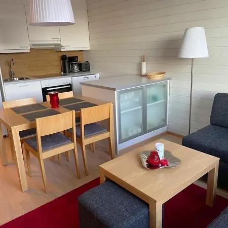 B 406 By Interhome Tahkovuori